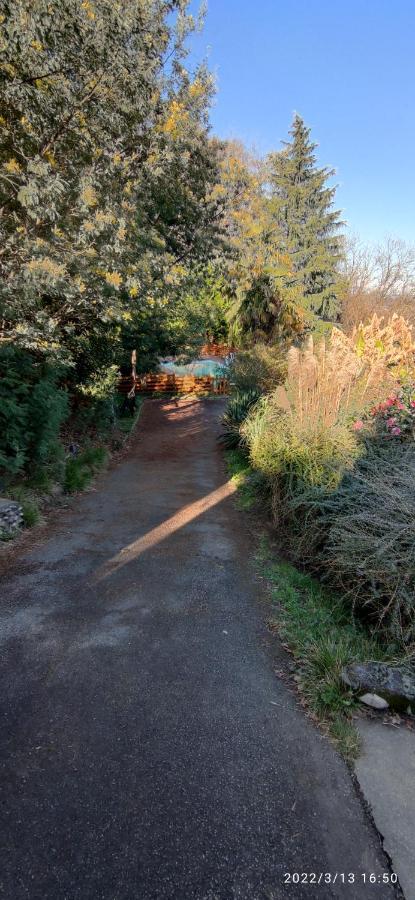 B&B En Plein Coeur De La Foret Artiguelouve Zewnętrze zdjęcie